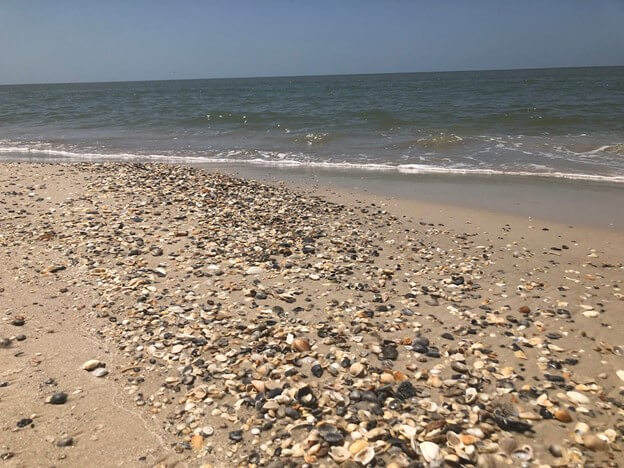 Things To Do https://newwavepropertymgmt.icnd-cdn.com/images/thingstodo/forgotten.jpg