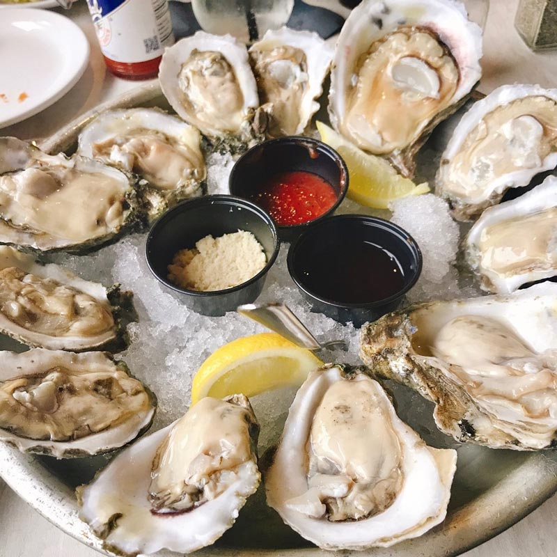 Things To Do https://newwavepropertymgmt.icnd-cdn.com/images/thingstodo/gulftotable.jpg