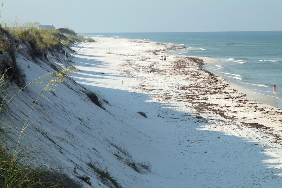 View of dunes in Port St Joe FL